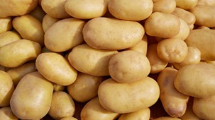 土豆是增肥食物？其實它是“三好學生”