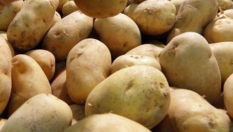 土豆是增肥食物？其實不然