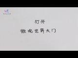 打開微觀世界的大門